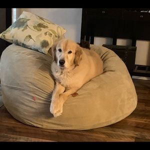 Hello Poshers!!! Have a Great Day!!! 💕